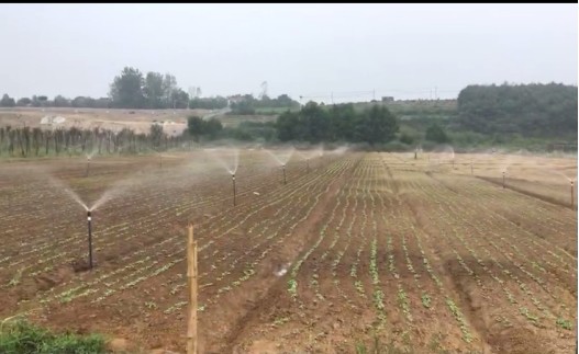 永鑫国际(中国游)有限公司官网