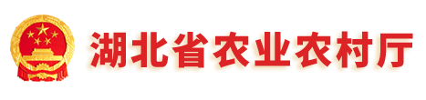 永鑫国际(中国游)有限公司官网