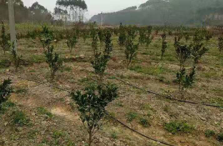 永鑫国际(中国游)有限公司官网