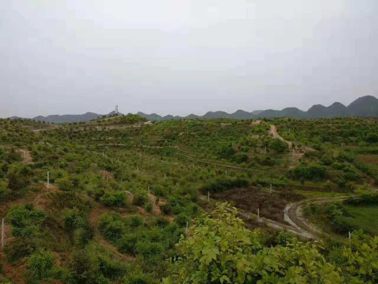 永鑫国际(中国游)有限公司官网