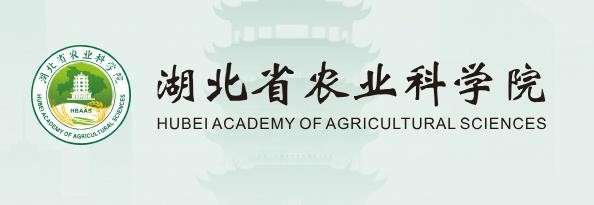 永鑫国际(中国游)有限公司官网